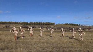 Международный танцевальный флешмоб ко Дню Народного Единства 2021 г.