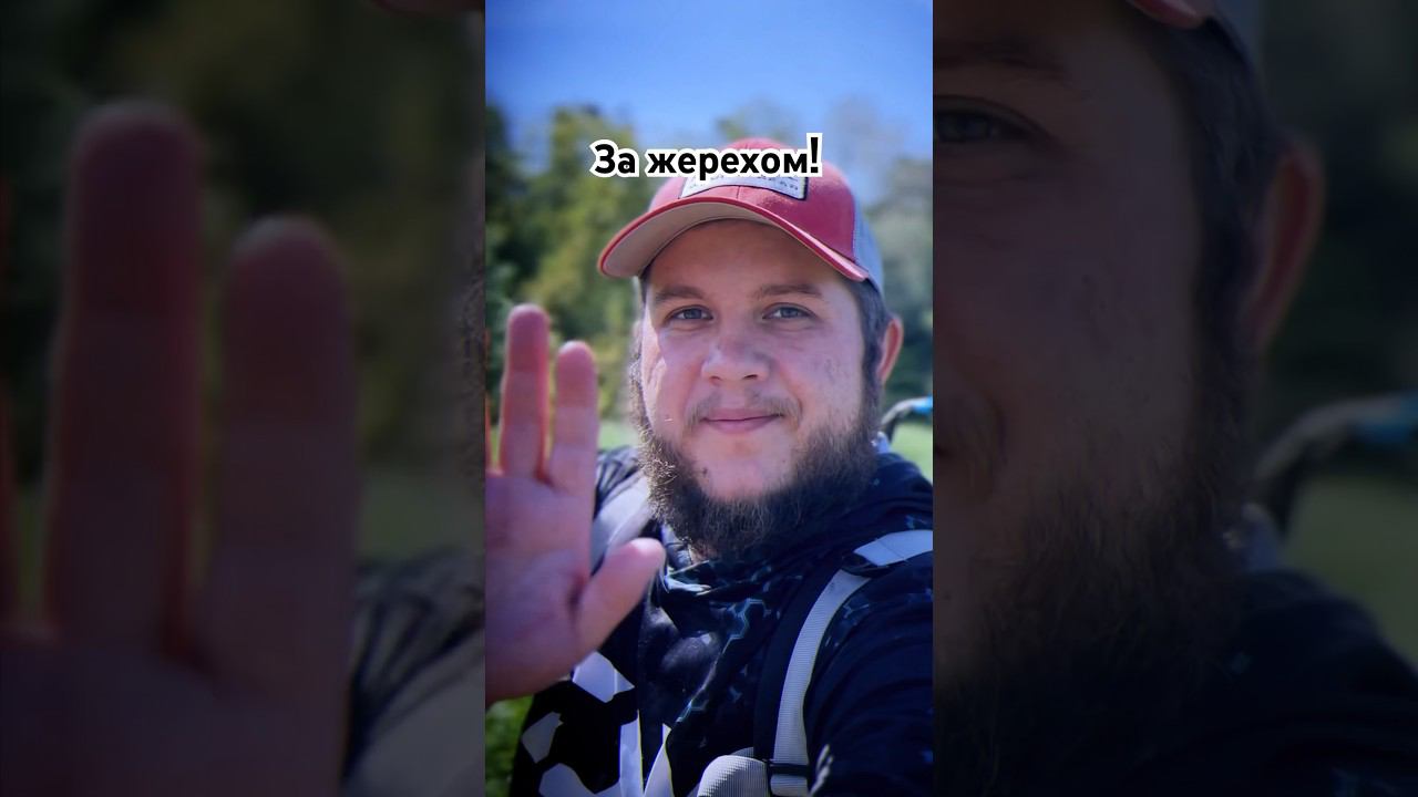 Жерех оторвал блесну  #рыбалка #трофей #спиннинг #жерех #крупнаярыба #трофейнаярыбалка