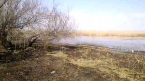 НА ПРОЛОМ,ЗА РЫБОЙ ЧЕРЕБАЕВО ВОЛГОГРАДСКАЯ ОБЛ.