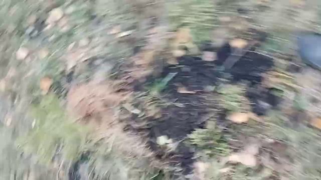 маслята смотреть онлайн