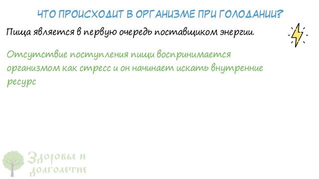 Японцы признались только сейчас: достаточно лишь на сутки исключить…