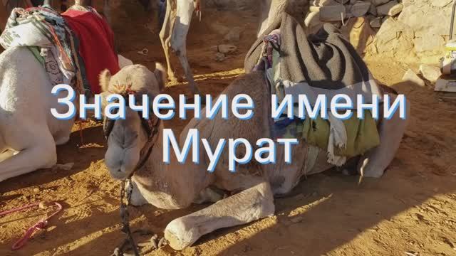 Значение имени Мурат. Толкование, судьба, характер смотреть онлайн