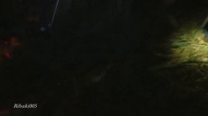 Как ловит трофейного сома. Сом на пиявку.Рыбалка с ночевкой.