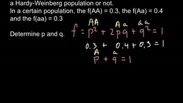 Calculating Allelic Frequencies From Genotypic Frequencies.