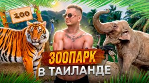 У ТИГРА В КЛЕТКЕ! TIGER KINGDOM PHUKET. Отдых в Таиланде! Деревня слонов, Куда сходить?