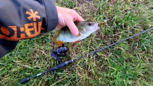Salmo Elite Spin 7 — обзор бюджетной катушки для лайта и ультралайта