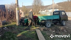 Ржавая молодость или новые проекты, но это не точно.  @ягодка предгорья