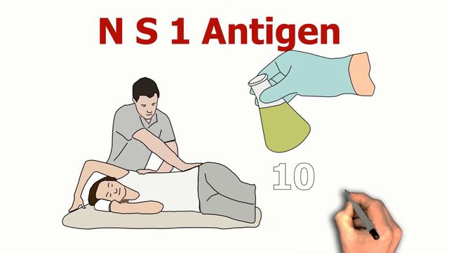 Dengue Fever Test ডেঙ্গি জ্বর পরীক্ষা (Dengue jar pariksha)
