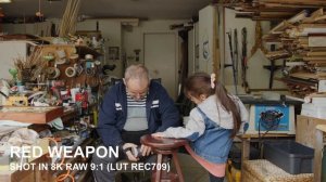 Red Weapon vs Arri Alexa vs Canon C200 vs Canon EOS R