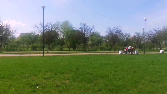 Яблоневый сад/Фрунзенский/Спальный район Питера #спальныйрайон #питер #яблоневыйсад