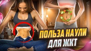 Польза Наули для ЖКТ: как убрать запор, метеоризм, вздутие и лишние сантиметры на талии