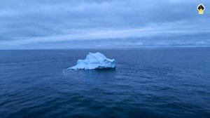 Уникальные кадры из арктических экспедиций Роснефти