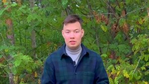 СЗЗ. Для чего нужна санитарно-защитная зона?