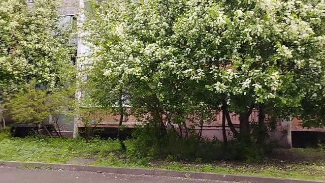 Тест камеры Redmi Note 11 смотреть онлайн