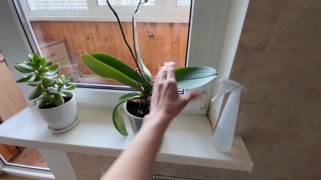 Что в холодильнике. Покупки в валдберрис. Пирог с картошкой и фаршем. Уборка. смотреть онлайн