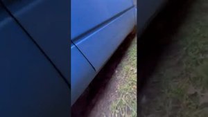 мини обзор, форд транзит 2 5 ТД(Лукас)перед покупкой,ещё борячком!!)ч1