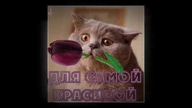 Поздравление клевой девушке с Днем рождения! смотреть онлайн