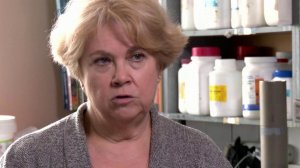 Ученый рассказала, почему эпидемия лихорадки Западного Нила в России маловероятна