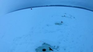 ПОСТАВУШКИ НА СУДАКА СНОВА ВЫРУЧАЮТ.ЛОВЛЯ СУДАКА НА ТЮЛЬКУ.р.ВОЛГА.