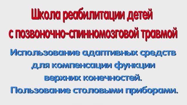Р. Использование адаптивных средств для компенсации функции верхних конечностей.