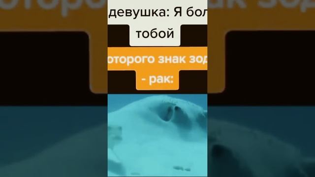 Девушка: я болею тобой.Я которого знак зодиака рак: #meme #shorts