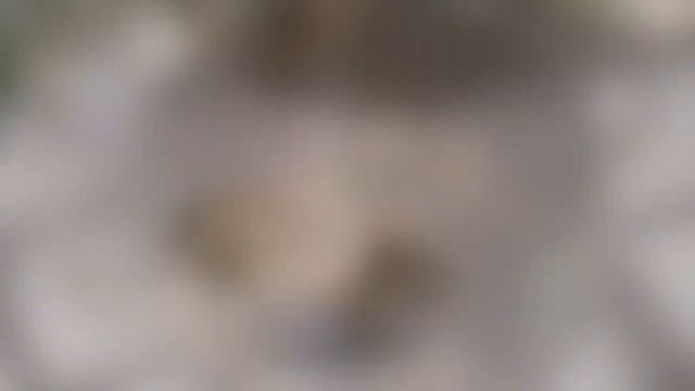 Грибной суп! Полезно/Питательно/Вкусно смотреть онлайн