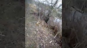 Рыбалка . Разведка 18.03.2018год. Каратаево