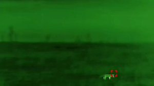 Вид ночью в тепловизор. Неудачная охота лисы😎