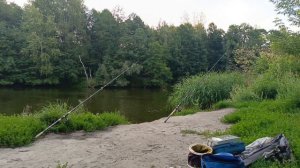 Отдых и рыбалка с палаткой в  Шатуре!