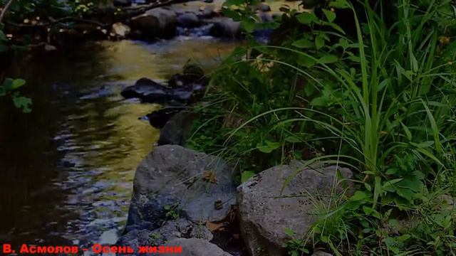 В. Асмолов – Осень жизни смотреть онлайн