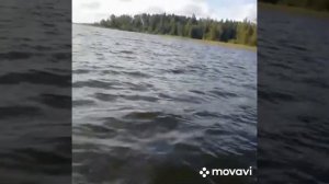 В поисках ТРОФЕЯ. Ленинградская область оз. Вуокса ловля на свимбейт 20см.