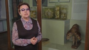 Кунсткамера Y. Откуда в Кунсткамере появились коллекции анатомических диковин