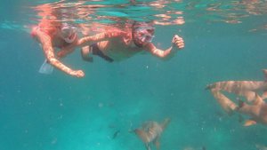 Акулы на Мальдивах.  Плаваем с акулами-няньками.