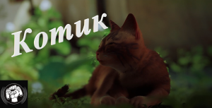 Кибер котик Stray