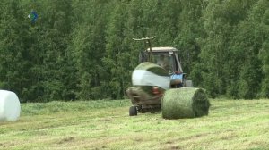 В Корткеросском районе построен телятник на 150 голов
