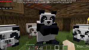 Сколько видов панд в Майнкрафте?