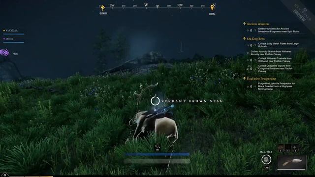 New World - Палка скакалка и разломы смотреть онлайн