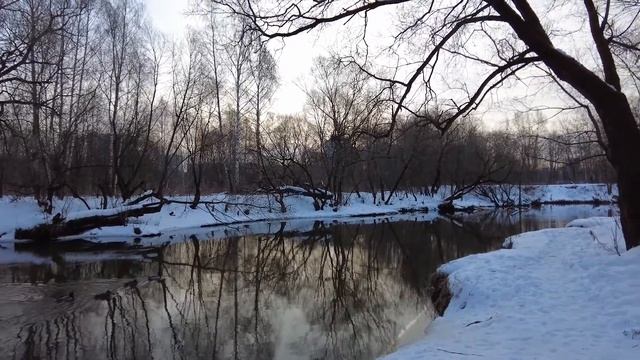 Кормление уток смотреть онлайн