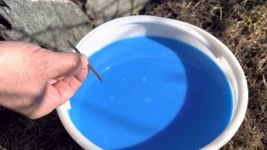 Голубое опрыскивание яблонь весной