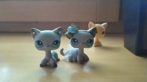 Распаковка посылки #1. Редкая стоячка! #лпс #lps