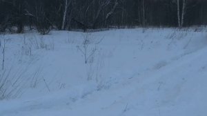 Viatti на НИВЕ Против дизельного УАЗ