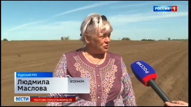 Осенние посевные работы в ООО СХП «Колхоз имени Ленина» смотреть онлайн