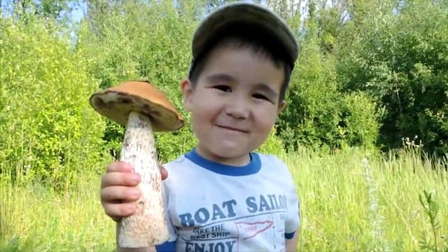 ГДЕ и КОГДА собирать ЗЕМЛЯНИКУ и КЛУБНИКУ #папиновоспитание