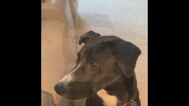 Hmm, I want to do video games… смотреть онлайн