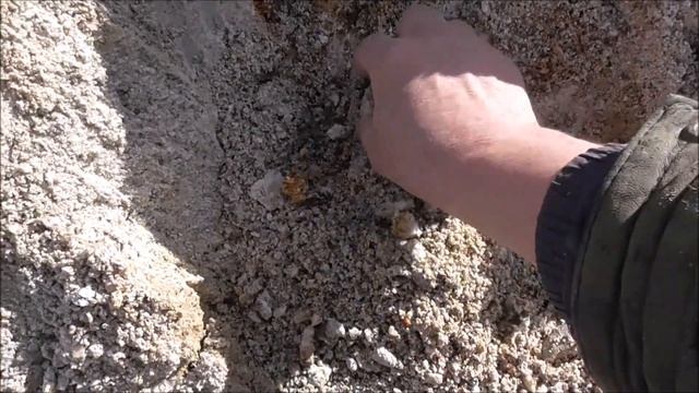 НАЙДИ ЖИЛУ ЛИПОВКА СИБИРЯЧКА И КУРЯТНИК
