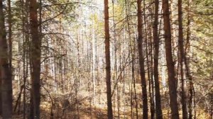 Хотите приключений? Купите этот мотоцикл!