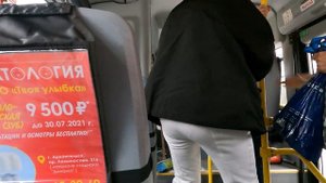 Автобус ПАЗ вектор некст. Bus paz.