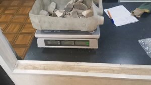 Катализатор от газели