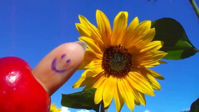 С ДР ИРА смотреть онлайн