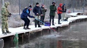 ВИП зона Р.Д. Юрлово. 18.11.2023